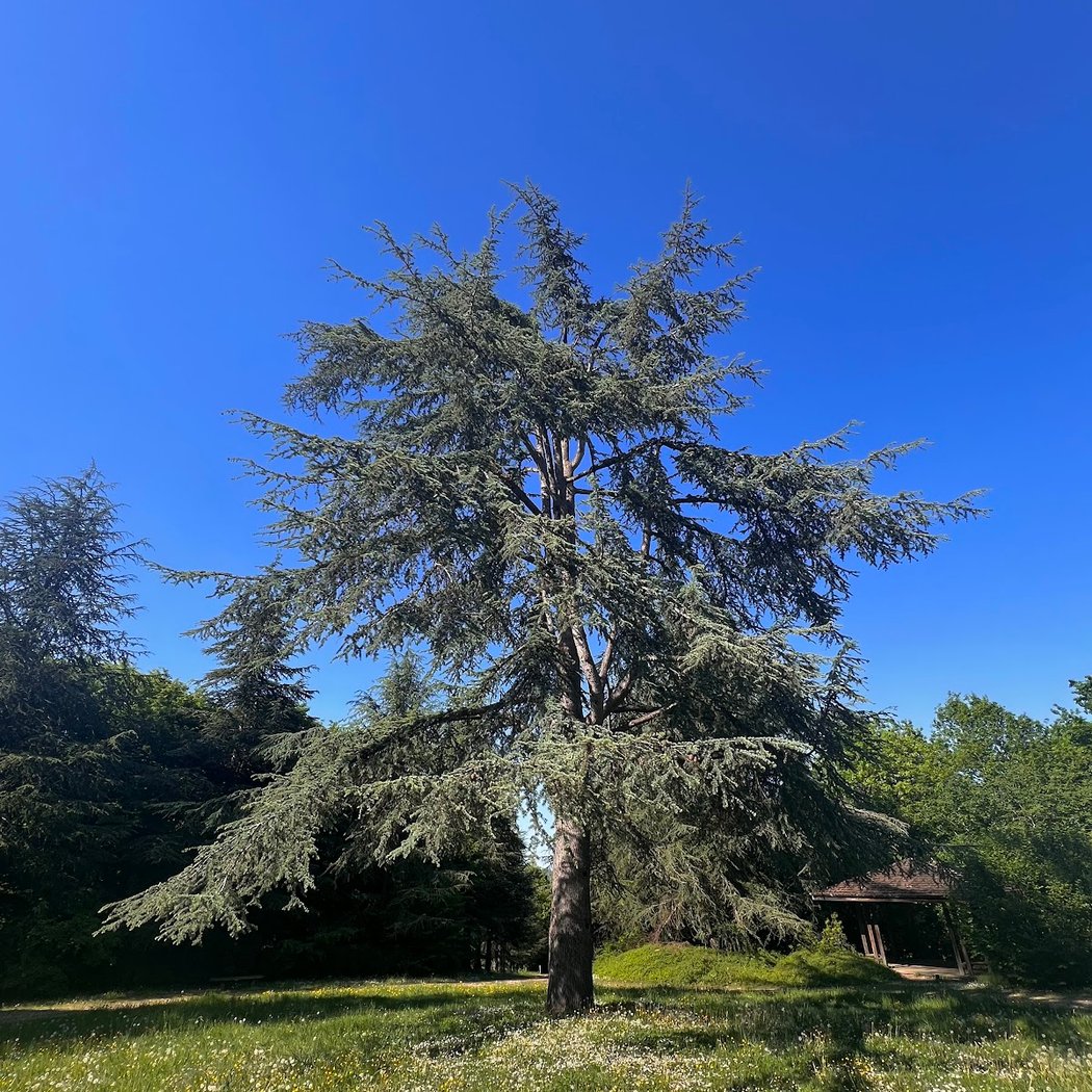 Forêt Régionale de la Roche-Guyon 2